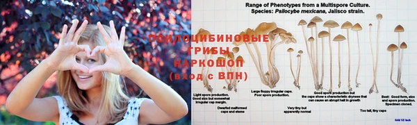 Альфа ПВП Пестово