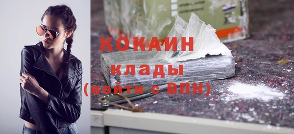 гашик Пересвет