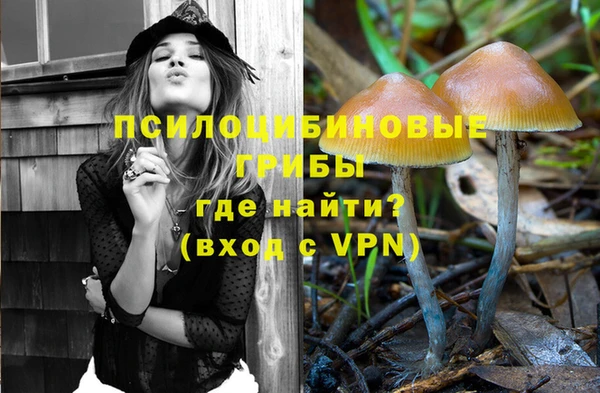 альфа пвп Осинники