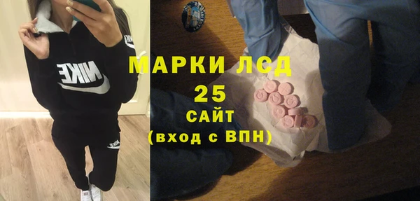 гашик Пересвет