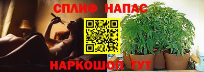 гидра Берёзовский