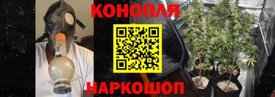 гидра Берёзовский