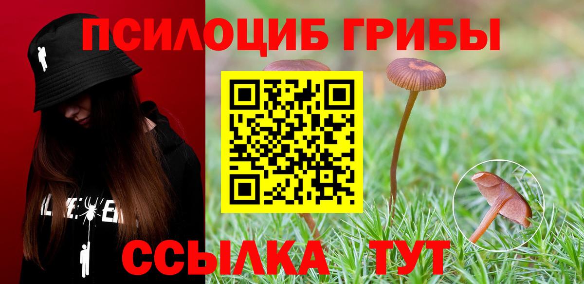 Тобольск  Галлюциногенные грибы ЛСД  Вход с VPN 