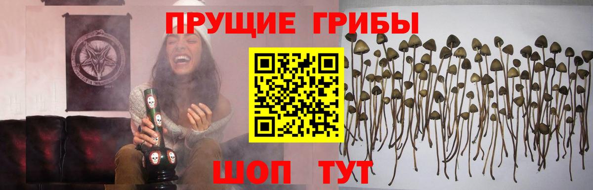 Псилоцибиновые грибы ЛСД Тобольск