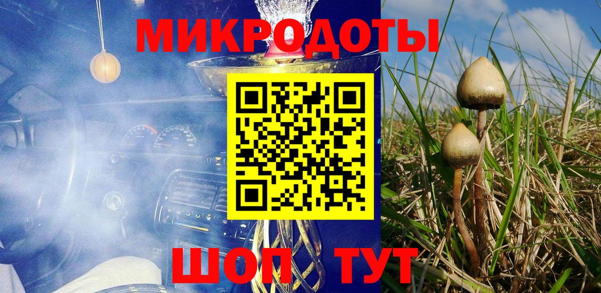Псилоцибиновые грибы Cubensis  купить наркотики сайты  Галлюциногенные грибы Cubensis  Тобольск 